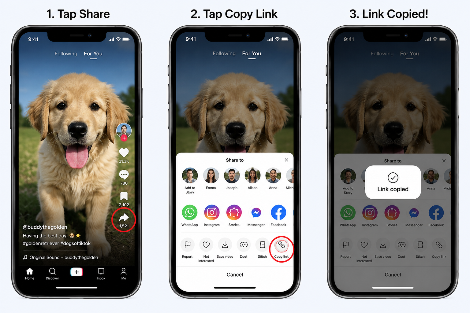 How to copy a TikTok video link from the TikTok app