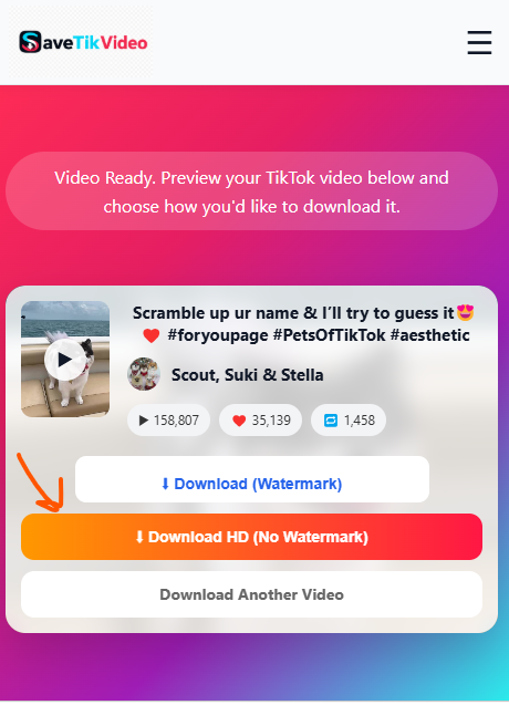 SaveTikVideo no watermark option for downloading a TikTok video